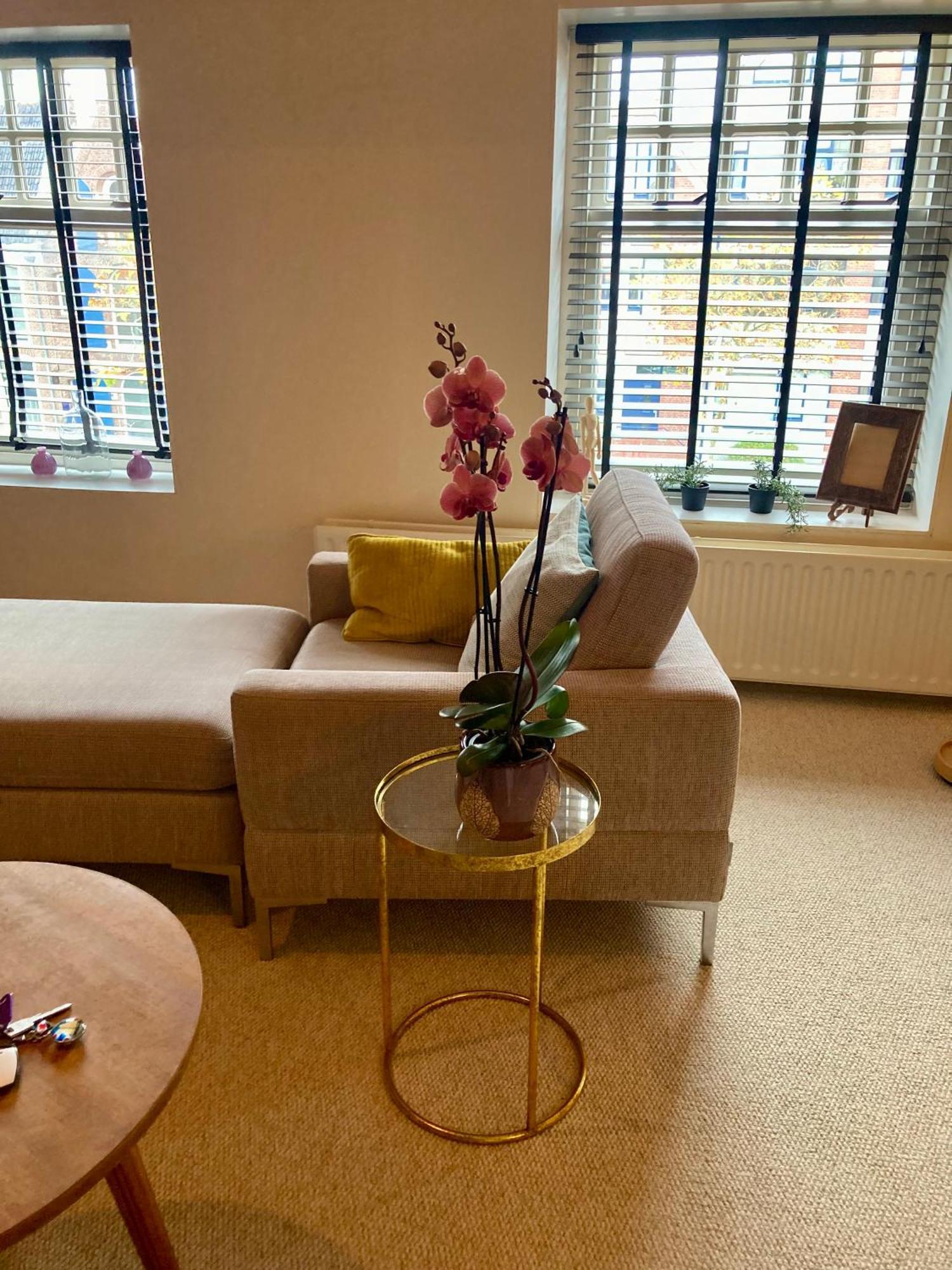 Elegant Appartement In Pakhuis Friesland Centrum Leeuwarden Extérieur photo